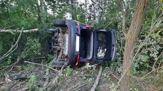 Уснул за рулем и вылетел в кювет: в Шиловском районе погиб мужчина на "КИА СПОРТЕЙДЖ"