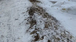 «Зачем расчищать скользкий пешеходный переход? Засыплем его песком!»