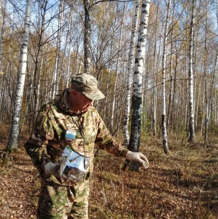 В лесах Владимирской области раскладывают вакцину от бешенства