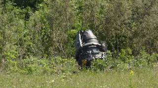 Причиной крушения Ил-76 в Рязани могли быть птицы