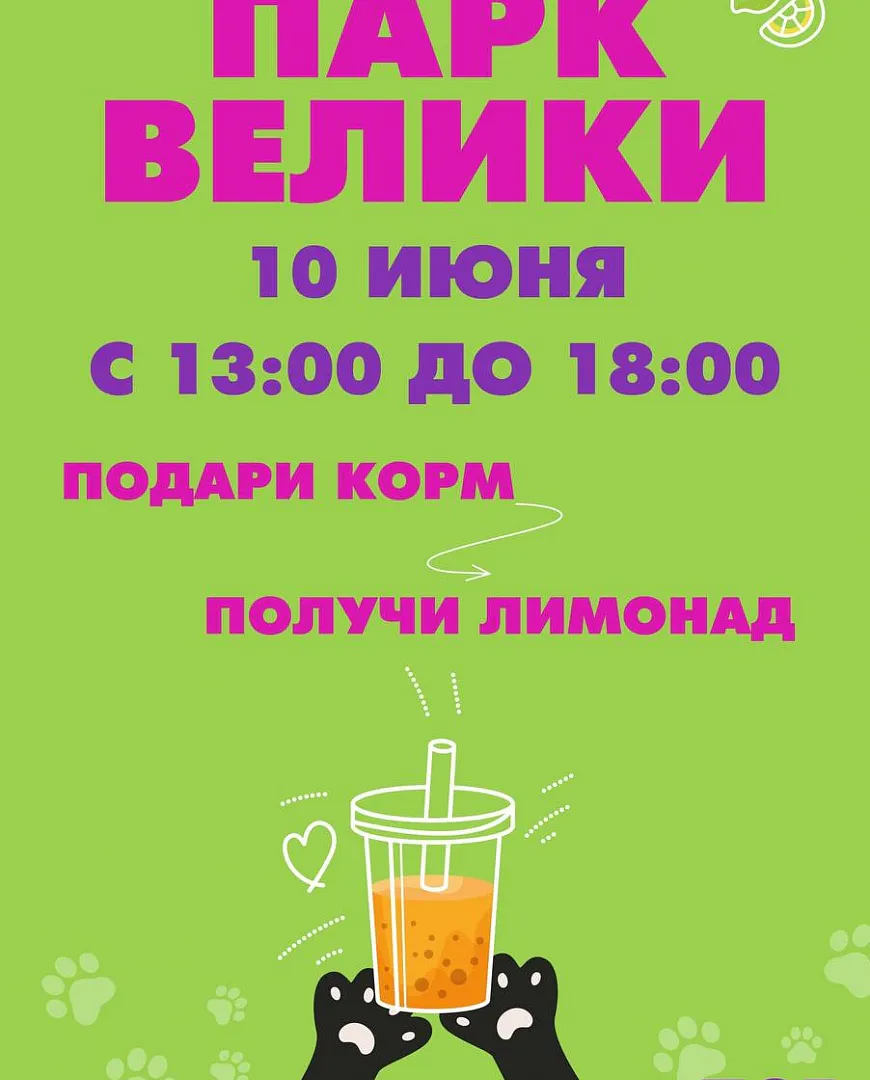 Подарил корм? Получи лимонад!