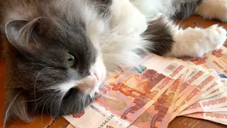 Приготовьте кошельки: кому и на сколько повысят пенсии с января - проверьте себя в списке