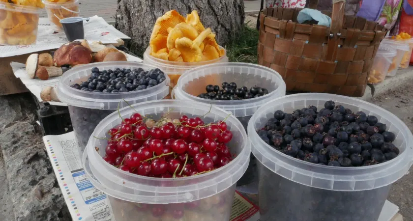 Эта ягода самая опасная: а мы покупаем ее как деликатес и детям даем