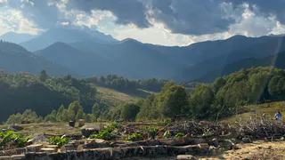 «Больше ни ногой с ребенком на Кавказ»: пассажирка прошла все круги ада в поездке на поезде и оставила честный отзыв