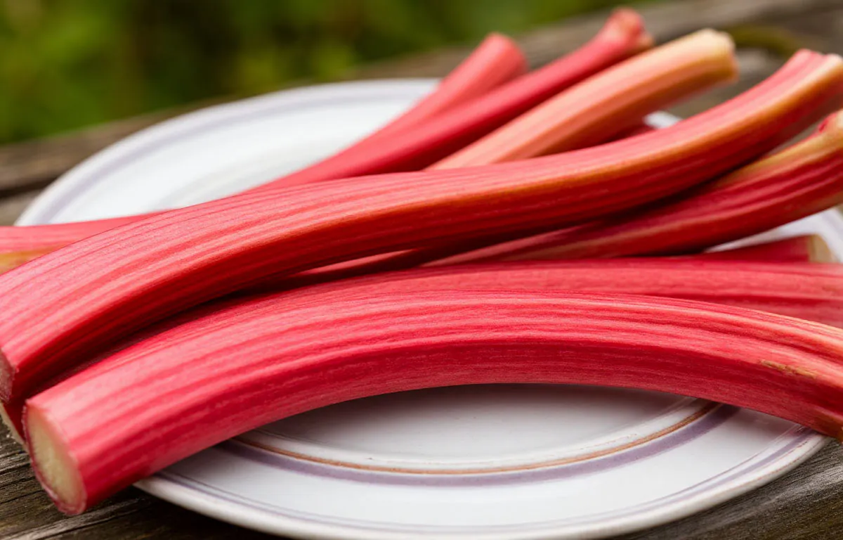 Учёные назвали овощ, который умерщвляет почки: в Европе его не едят, а в России в нём души не чают