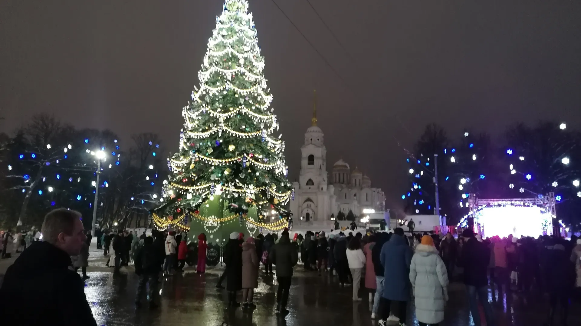 Перед боем курантов положите на подоконник 1 предмет — Зеленая Деревянная Змея наградит удачей в Новом году