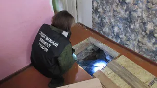 Во Владимирской области мужчина жестоко убил пожилую сожительницу и попытался скрыться от обвинения