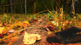 В Чувашии 30 сентября похолодает до -5 градусов