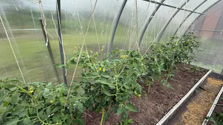 Наконец нашел лучшее решение, чем закрыть дорожки между грядок в огороде - бюджетный способ, и сорняки больше не надоедают