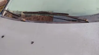 Обледенение стеклоочистителей разрушает зимние поездки — есть простой способ: езда стала безопаснее