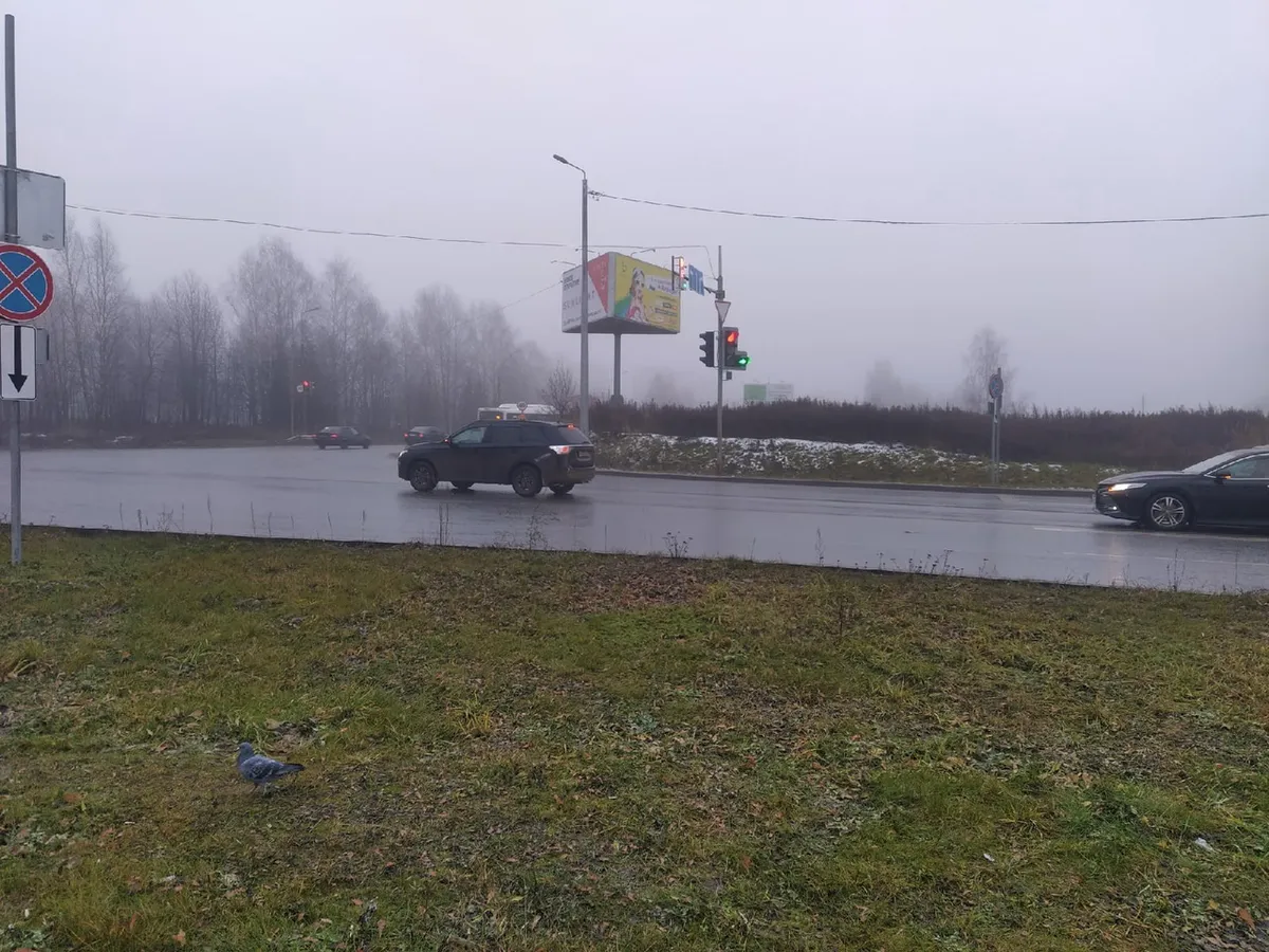 Циклон с Балтийского моря принесет снег и штормовой ветер в Челябинскую область