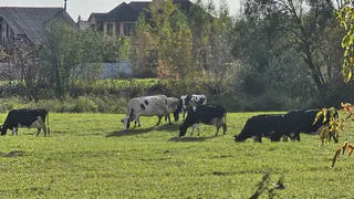 Каким будет лето после аномальной зимы? Климатологи поставили точку