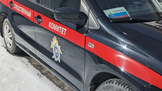 Во Владимирской области осудят бухгалтера, обманувшую организацию на 2,2 миллиона рублей