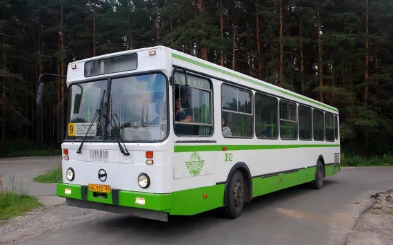 В Брянске деревню Верхи оставили без транспорта