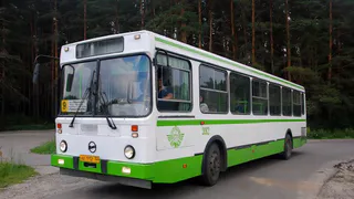 В Брянске деревню Верхи оставили без транспорта