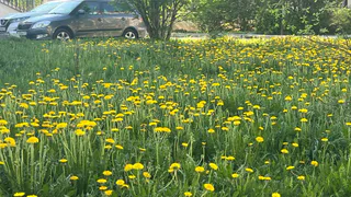 Завтра в Чувашской Республике погода “радует глаз”