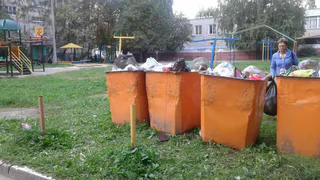 В Песочне мусорные баки перенесли на детскую площадку