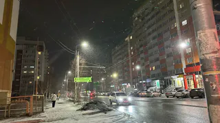 В Рязанском районе «БМВ» врезался в столб