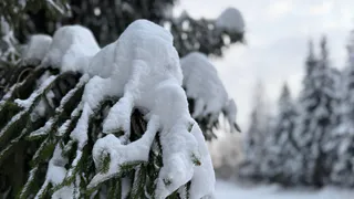 В р.п. Сараи проведены зимние внедорожные соревнования «Февральский Экстрим»