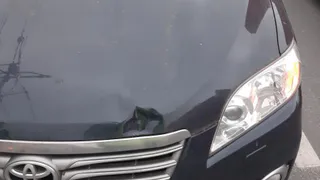 Подросток пытался перебежать Первомайский проспект, но попал под машину