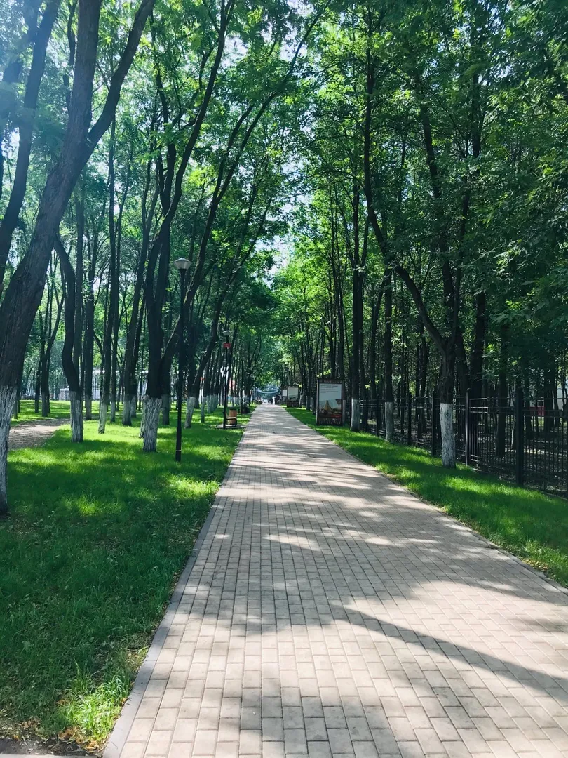 В Рязанскую область после зимовки начали возвращаться аисты