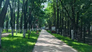 В Рязанскую область после зимовки начали возвращаться аисты