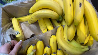 Продавцы «Магнита» и «Пятерочки» всегда охотятся за пакетиками из коробок с бананами — хватайте тоже