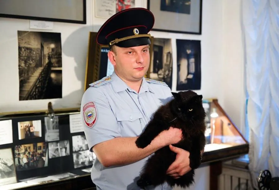 День черных котов и участковых