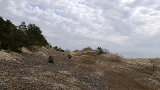 От Калининграда до Находки: МегаФон ускорил мобильный интернет для дачников и туристов