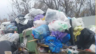 Рязань завалена мусором: "Эко-Пронск" ответил на жалобы жителей