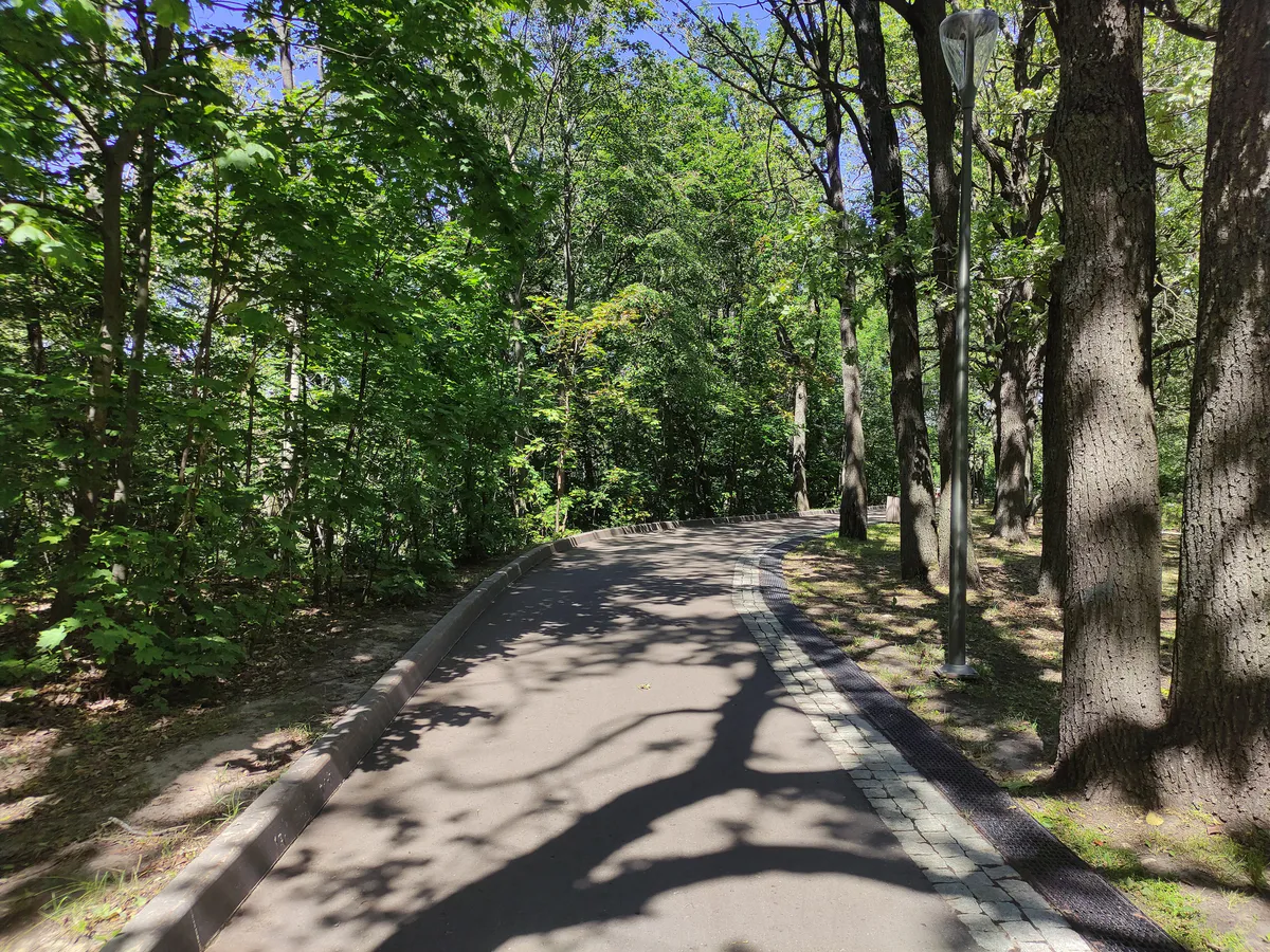 Живой нашли пропавшую в Карталинском районе пенсионерку