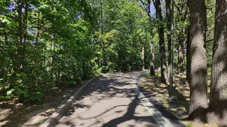 Живой нашли пропавшую в Карталинском районе пенсионерку