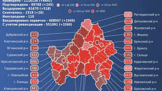 20 жителей Брянской области умерли от коронавируса за сутки