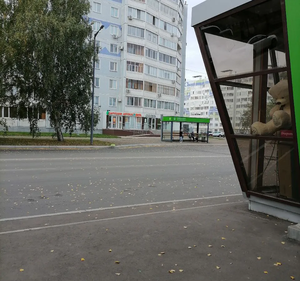 Остановка по требованию: почему нижнекамцы не могут уехать с автобусной остановки