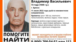 В Брянск ищут Владимира Чентырёва