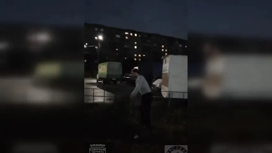 Во Владимире заключили под стражу мигранта, угрожавшего девушке из-за срубленной ёлки