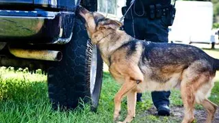 Полицейские поймали старушку-разбойницу