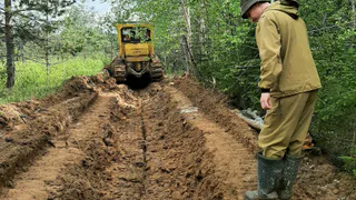 В Республике Коми создано свыше 200 километров противопожарных полос и благоустроены зоны отдыха