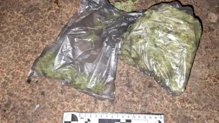 Сосногорец выращивал коноплю на съемной квартире