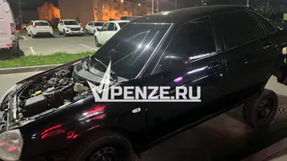 В Сердобске водитель «Гранты» переехал спящую на тротуаре собаку по кличке Туча