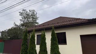 Зачем сажать туи, которые постоянно сохнут, болеют и чернеют: нашел вариант в разы дешевле, лучше и красивее