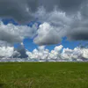 В Коми аграрии взялись за тритикале и удвоили посевы кукурузы