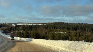 Каким будет лето 2025 года после аномально жаркой зимы: синоптики сообщили, к чему стоит готовиться россиянам