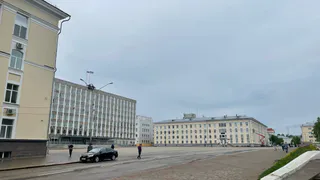 В пользу ребенка из-за нападения собак взысканы деньги у чиновников