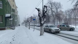 Вильфанд дал новый прогноз - весна похоронит Россию под снегом