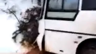 Капот разбит: рейсовый автобус в Рязанской области улетел в кювет