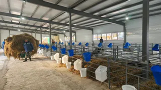 В животноводческом хозяйстве Вязниковского района установят новые комплексы для животных