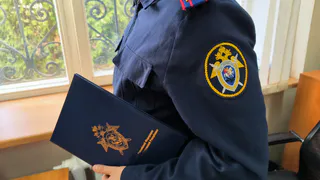 Жительница Чувашии осуждена за уклонение от налогов на 3,5 миллиона рублей