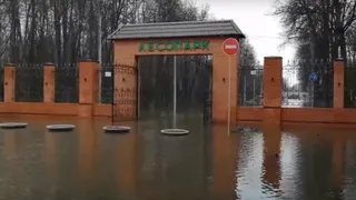 "Небывалый подъем воды": В Рязани территория Лесопарка превратилась в местную Венецию 