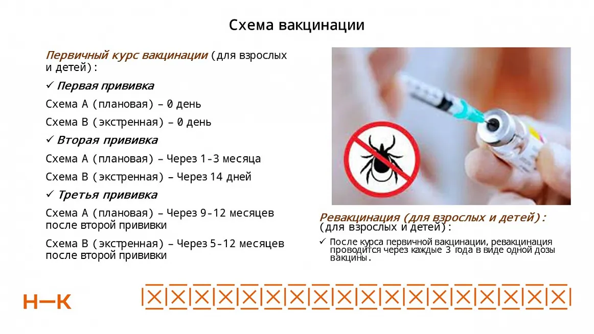 В этом году к медикам Нижнекамска с укусами клещей обратились 24 человека